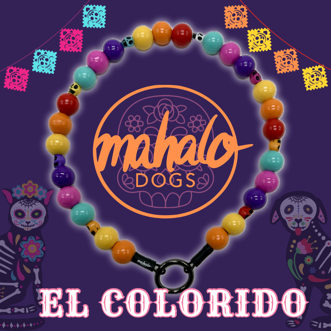 El Colorido Perlenhalsband