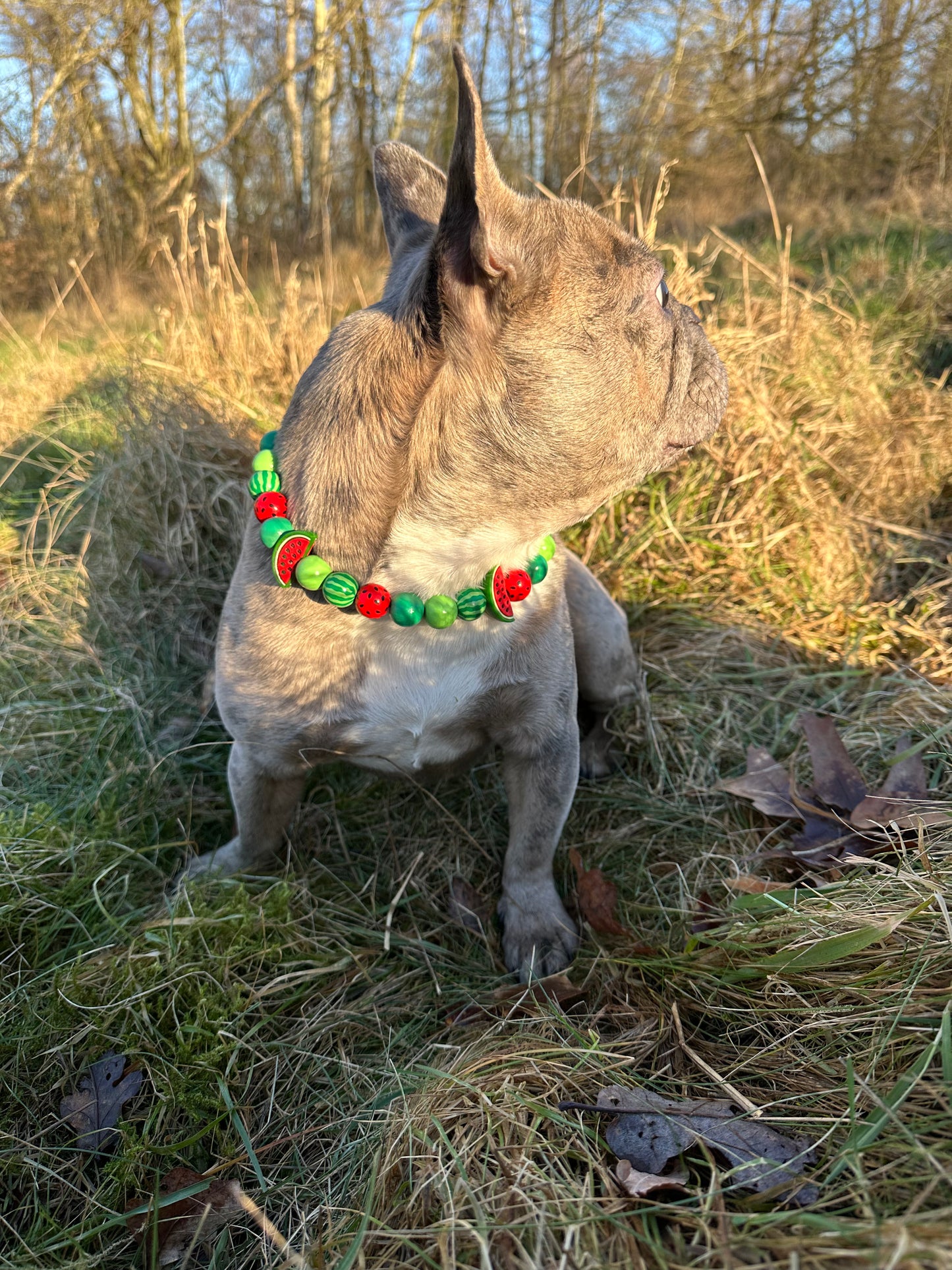 One in a melon Perlenhalsband