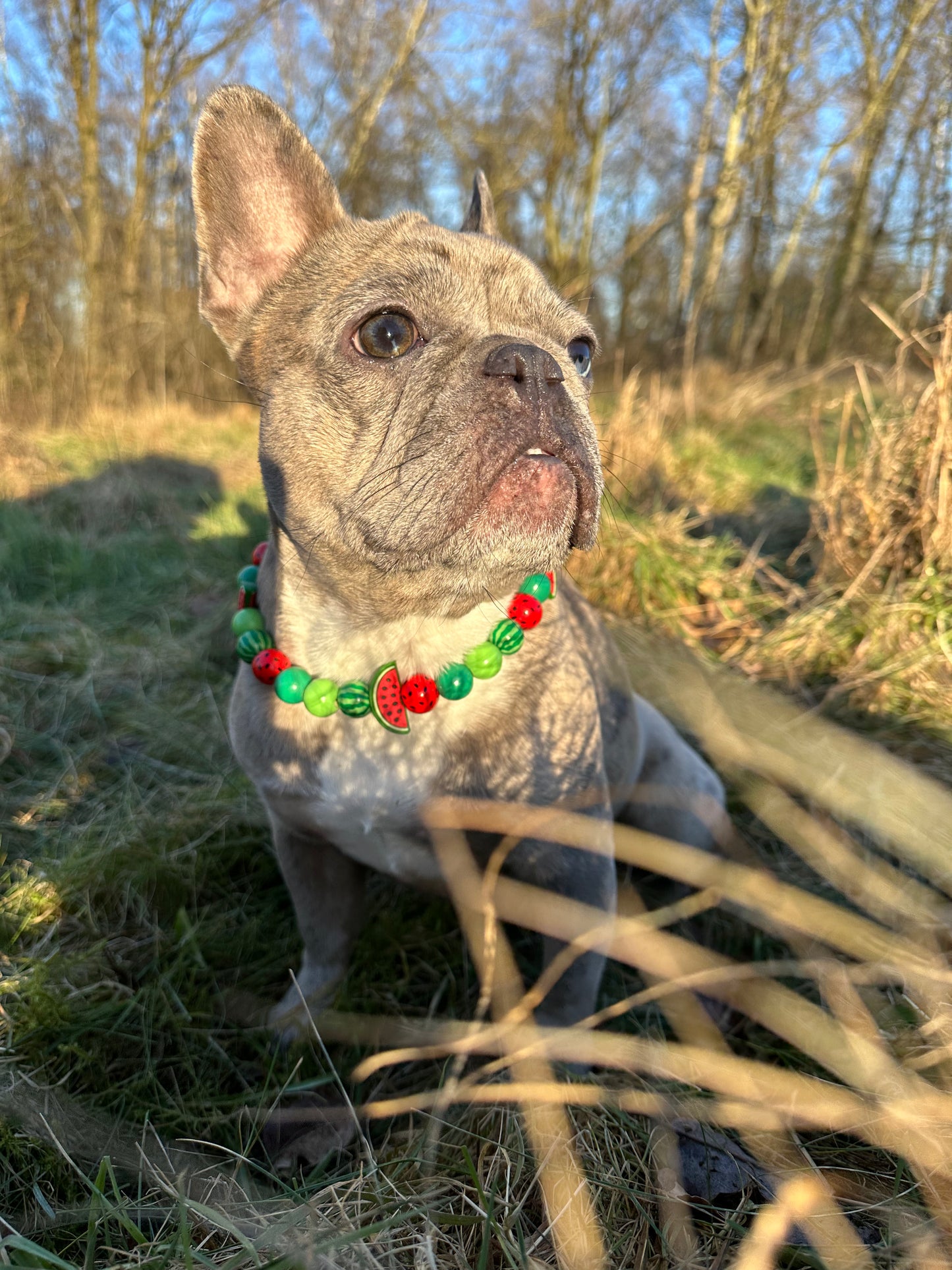 One in a melon Perlenhalsband