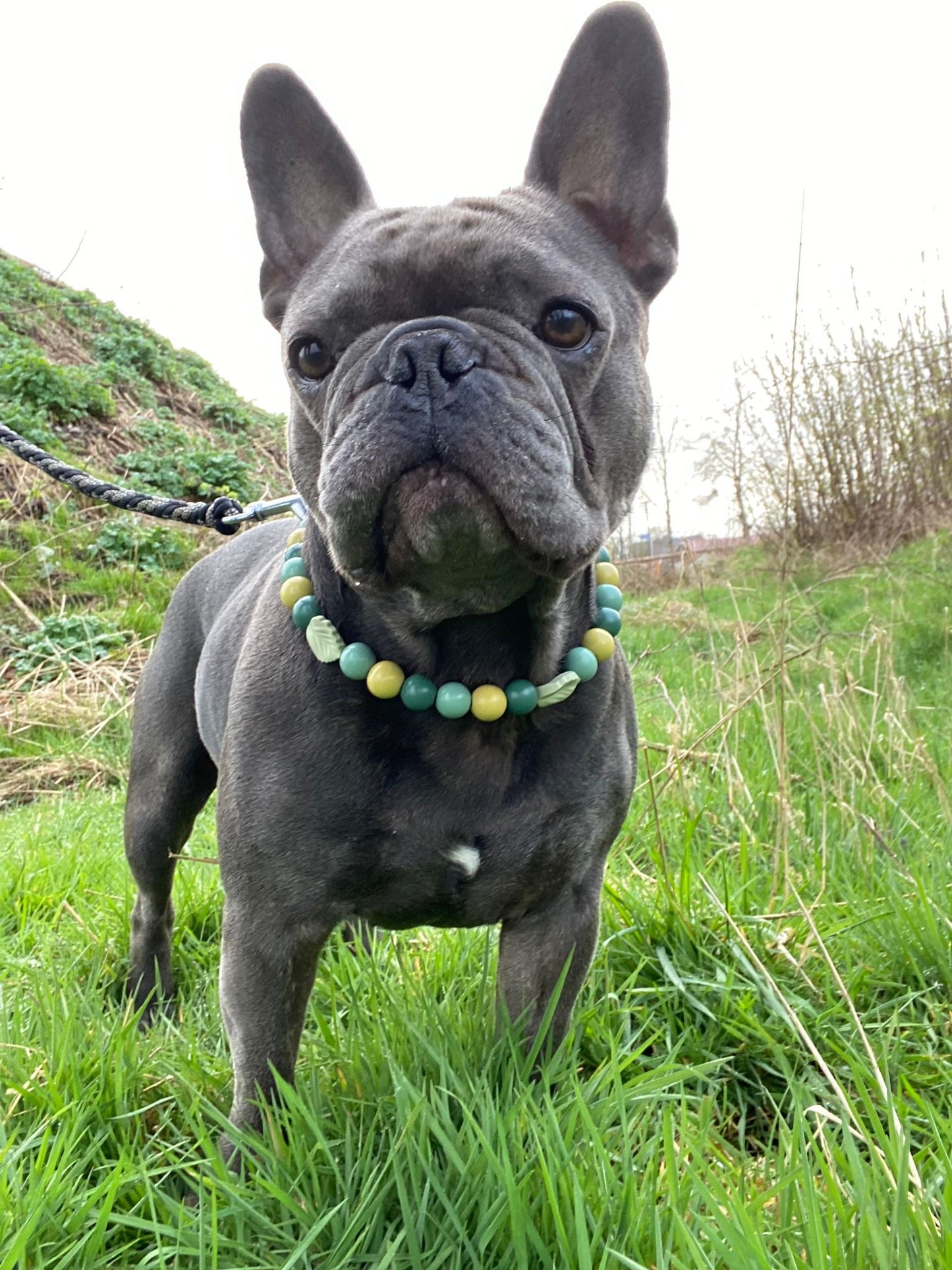 Green Leaf Perlenhalsband